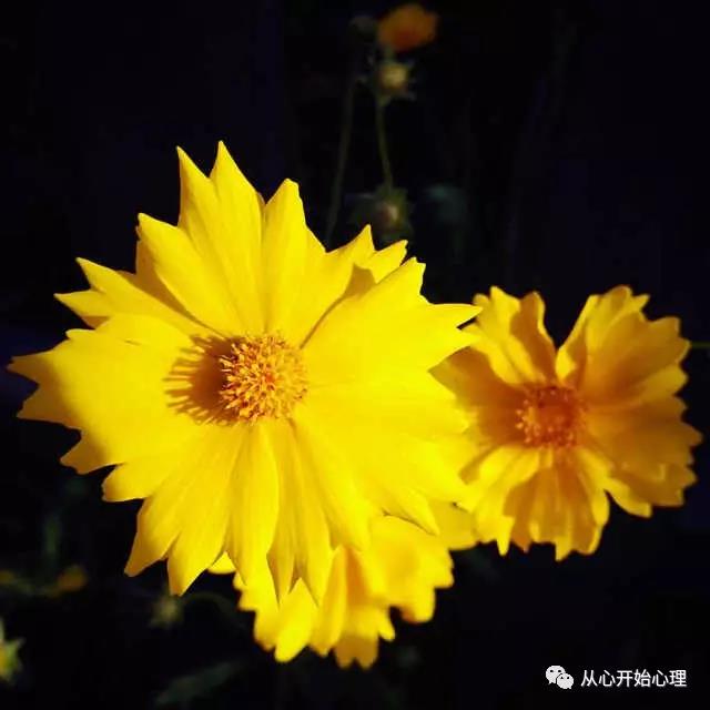 創客周